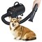 Durable Pet Hair Dryer Quick Blower Heater 4 Nozzles Dog Cat Grooming 110V